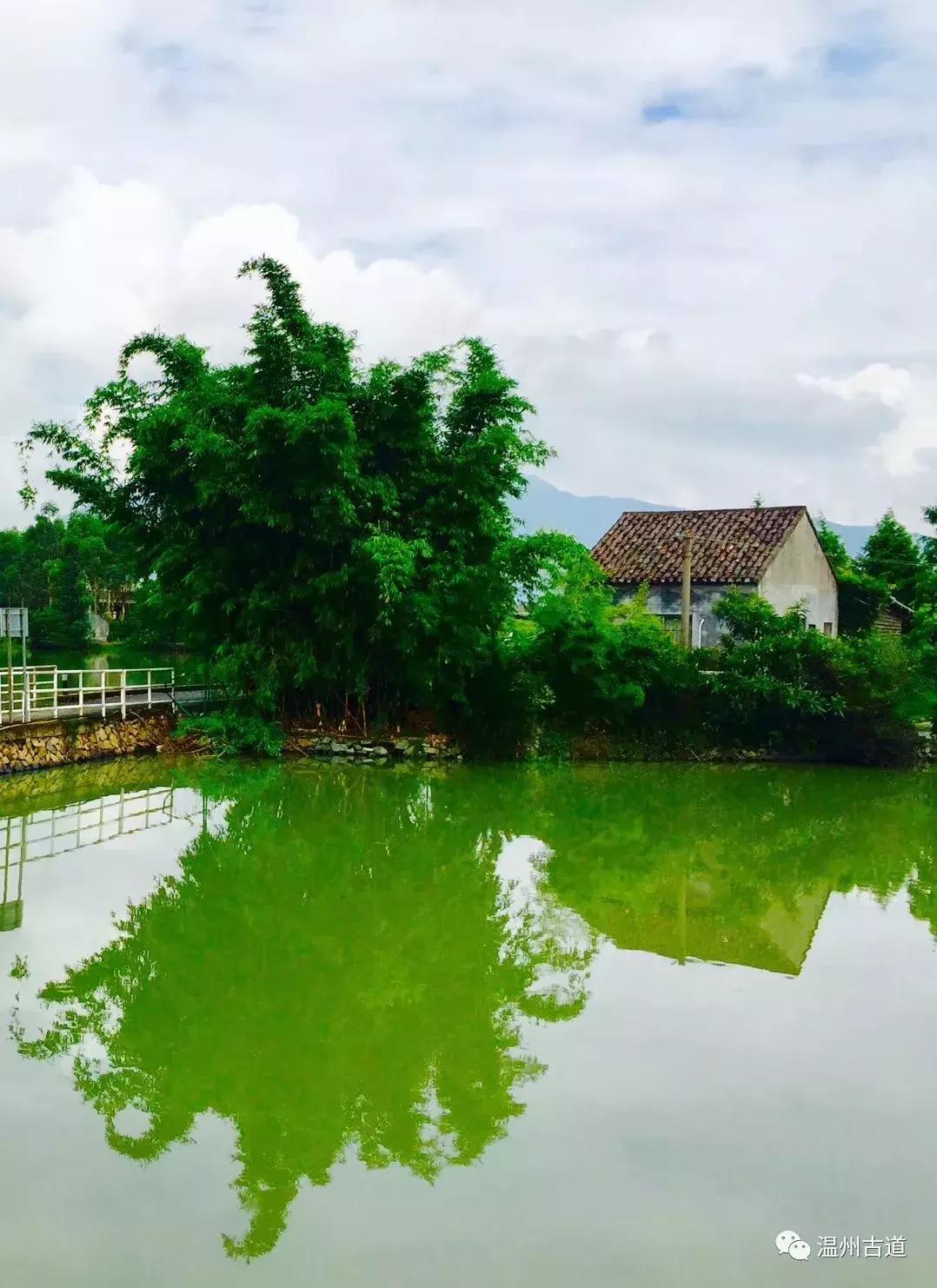 千年古村平阳县鸣山村古城夜景,平阳昆阳鸣山古村落