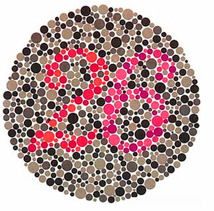 色盲和普通人眼中的世界对比,色盲眼中的世界是不是真正的颜色