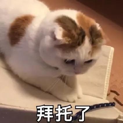 蓝盈莹为什么离开北京人艺,蓝盈莹为什么离开北京艺术剧院