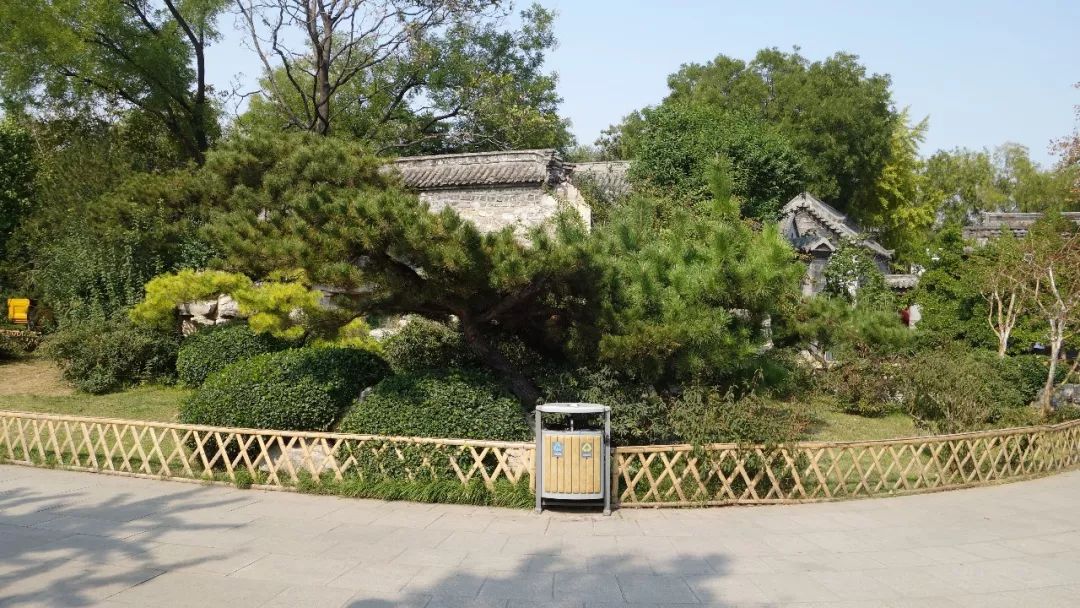 济南方特游玩攻略,去印象济南游玩日记