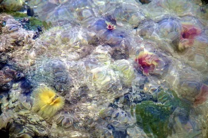 距海南仅20km，这个处女地比台湾风情、比三亚便宜，你错过了吗？