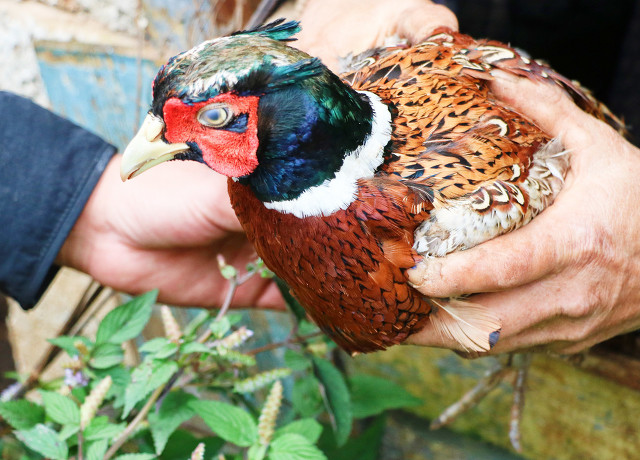 新手创业好项目，特别适合回乡创业者，有你感兴趣的项目吗？