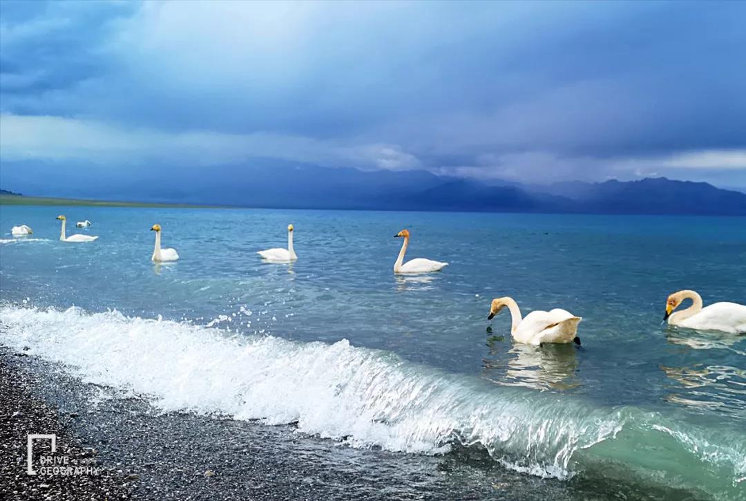 值得走一遭的网红公路,全疆最美的公路