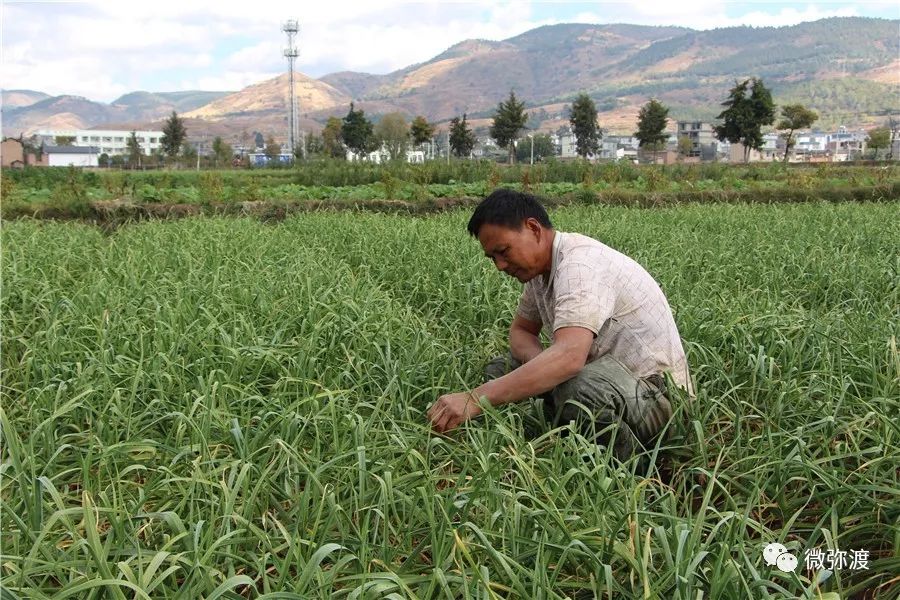 库塘蓄水不足会怎样,今年各大水库蓄水情况