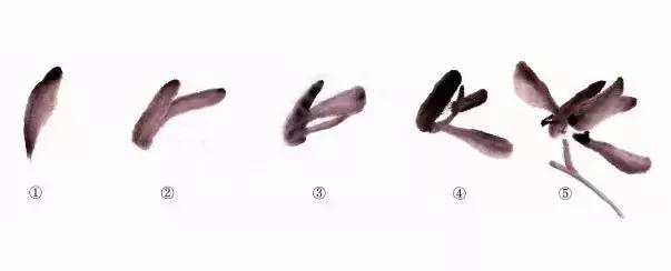 徐湛国画兰花的画法,徐湛国画兰花的画法视频教学