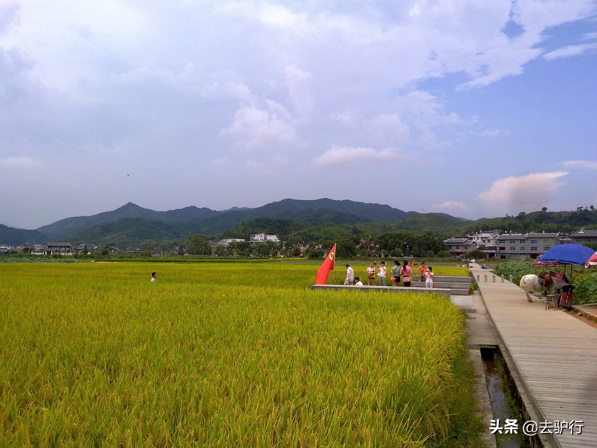 福建龙岩经济落后吗,福建龙岩靠什么发展