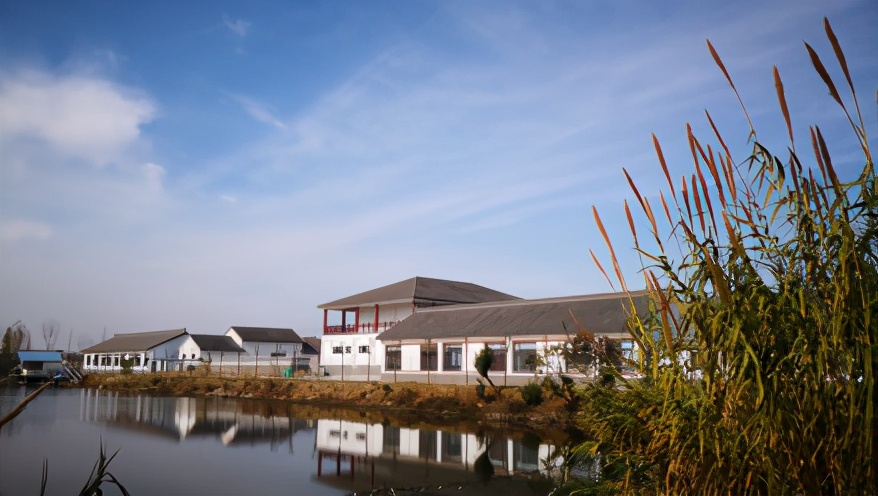 探秘！如皋竟藏着一座“青砖黛瓦书院式”网红学校！就在……