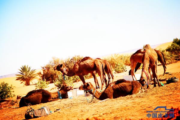 西班牙摩洛哥葡萄牙之旅,马德里旅行