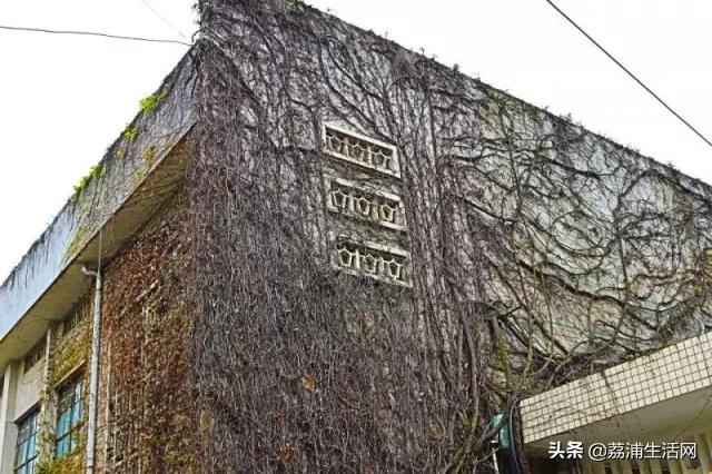 骄傲!桂林电子科技大学,这下又在全国出名了