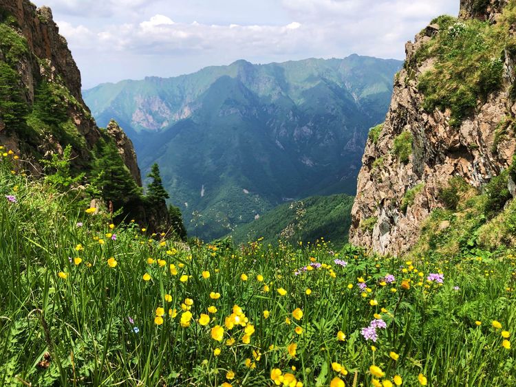 小五台山哪里进入景区,小五台山春天景色