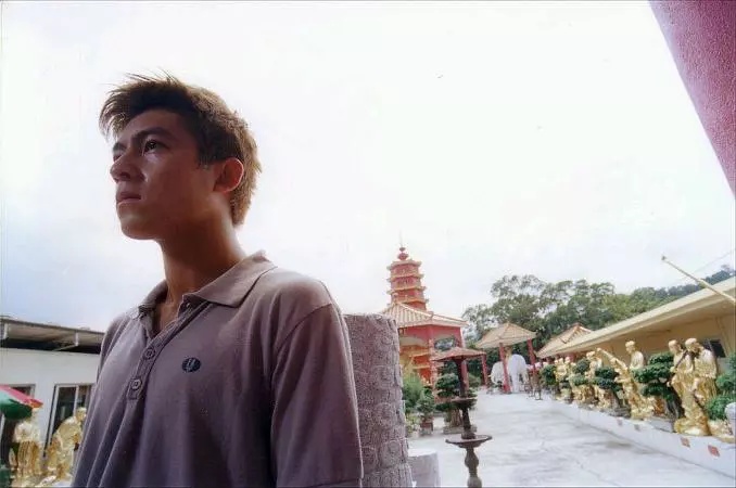 无间道香港电影最后的辉煌,为何无间道是香港电影的巅峰