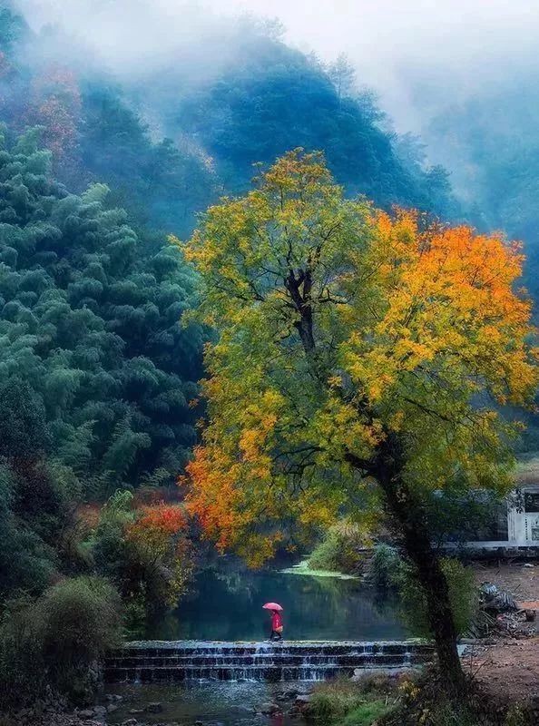 金华附近的旅游民宿推荐,金华古村古镇民宿