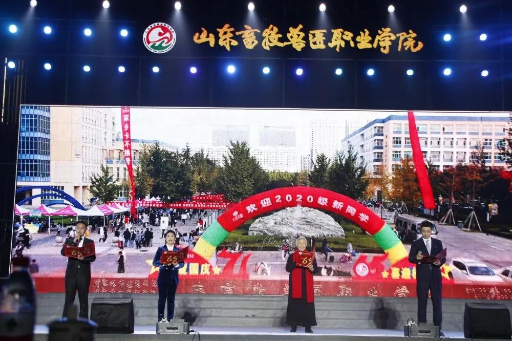 高歌向未来完整视频,奋进新征程高歌向未来总决赛