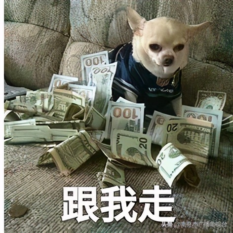 秀出你自己！2020年“健身南充”网络运动会12月6日开始报名啦