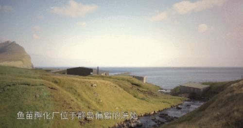 “商品博物馆”上线多点APP今年进博会同款的火腿肉提前买起来