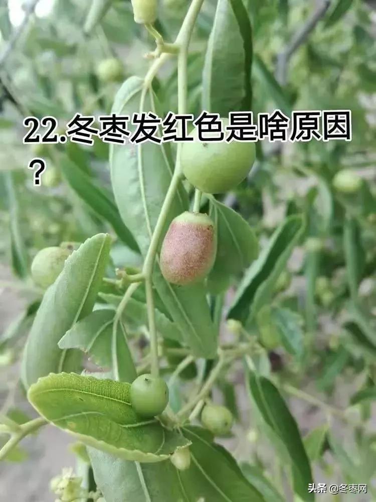 鐢叉祦鍗婁釜鏈堥蓟瀛愪笉閫忔皵鎬庝箞鍥炰簨,鐢插彛涓嶆剤鍚堟槸鎬庝箞鍥炰簨