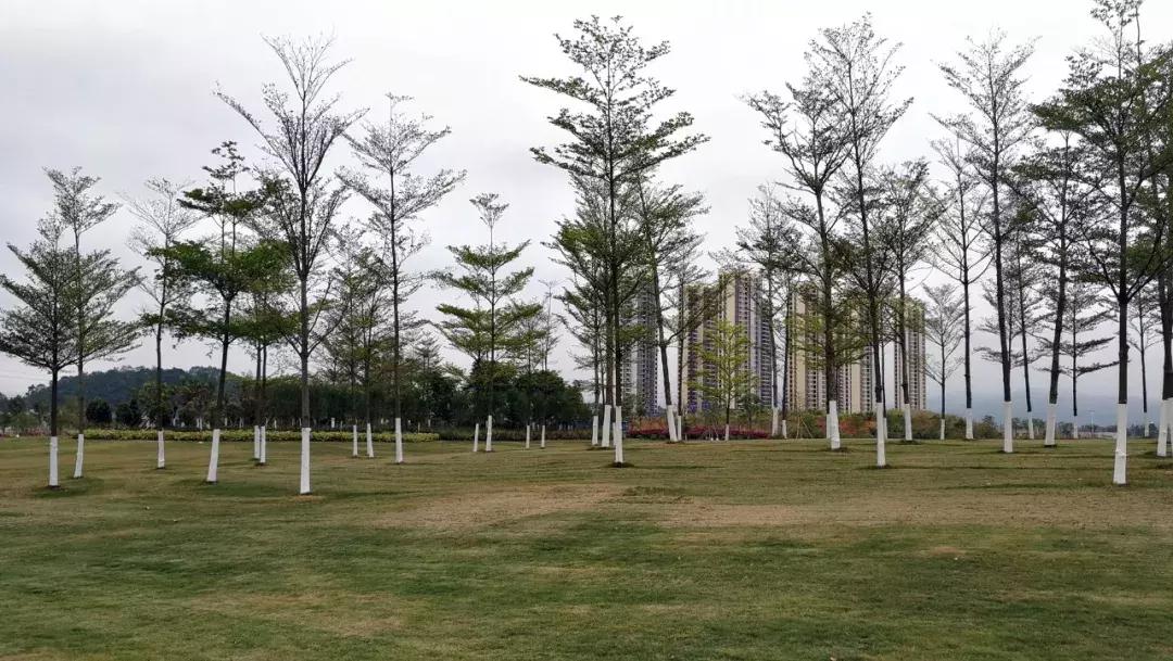 云浮高铁东站什么时候开通,高铁云浮东站