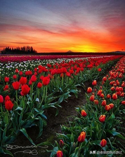 老张回忆童年,老张的记忆