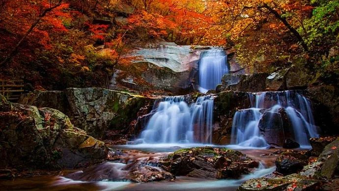 六安天堂寨免门票政策,天堂寨六安户口免费游