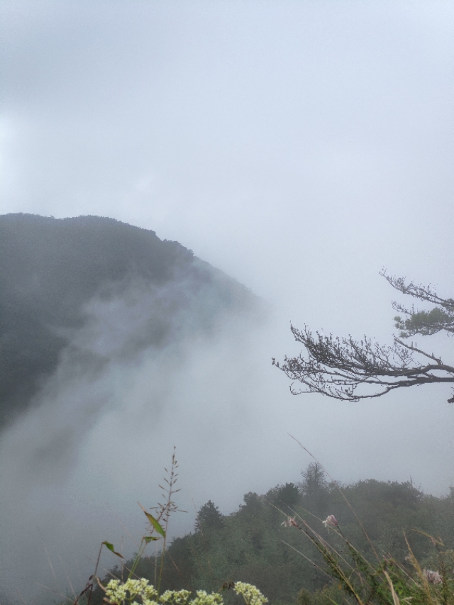 蕲春仙人台近日发生车祸,蕲春仙人台海拔