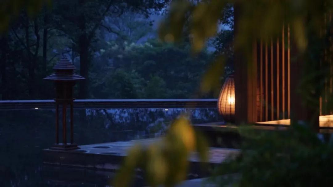 森林秘境的温泉,森林里野奢温泉度假酒店下午茶