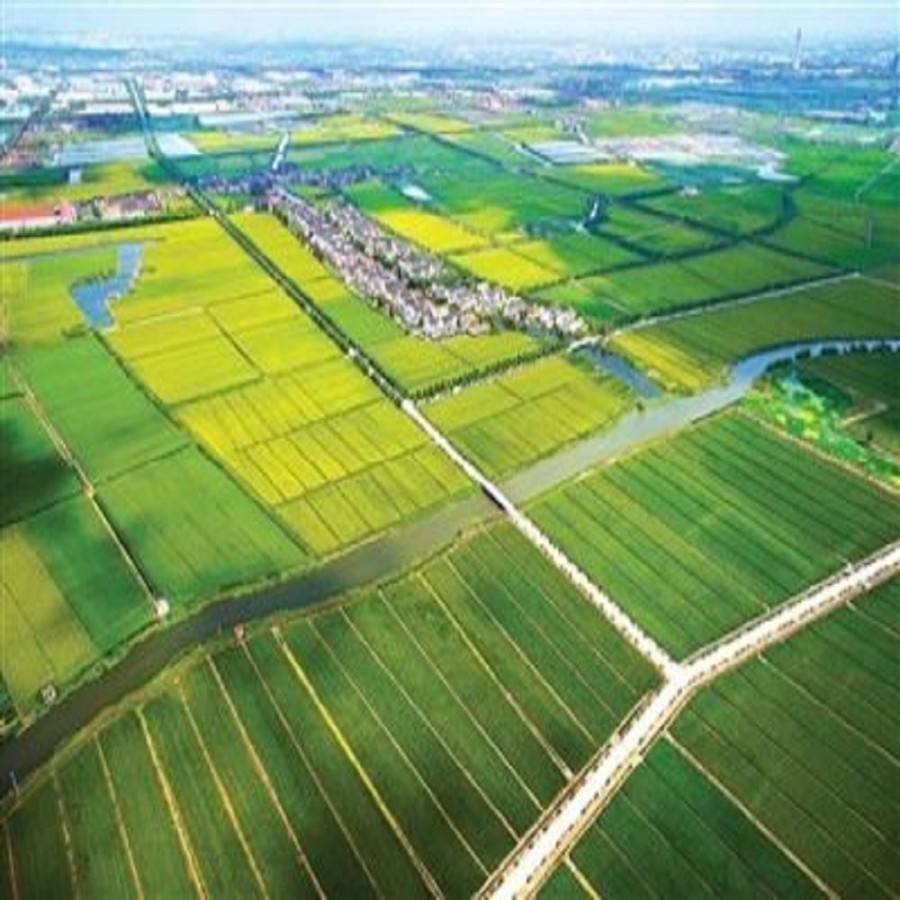 未来5年农业最赚钱行业,农业未来10年赚钱吗