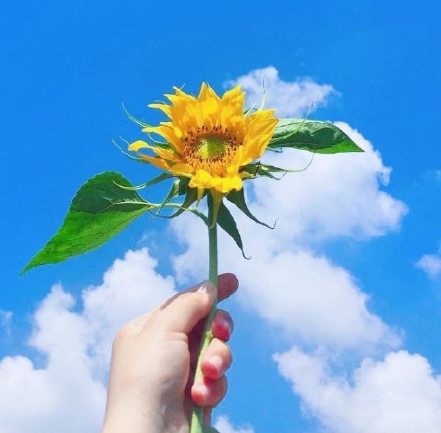 有个性的霸气高冷的短句子,霸气超拽超高冷的句子简短