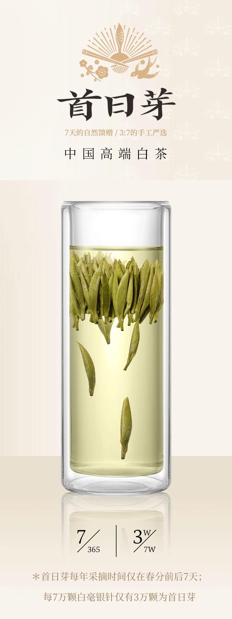 中国白茶第一饼2007年,白茶首日芽是什么意思