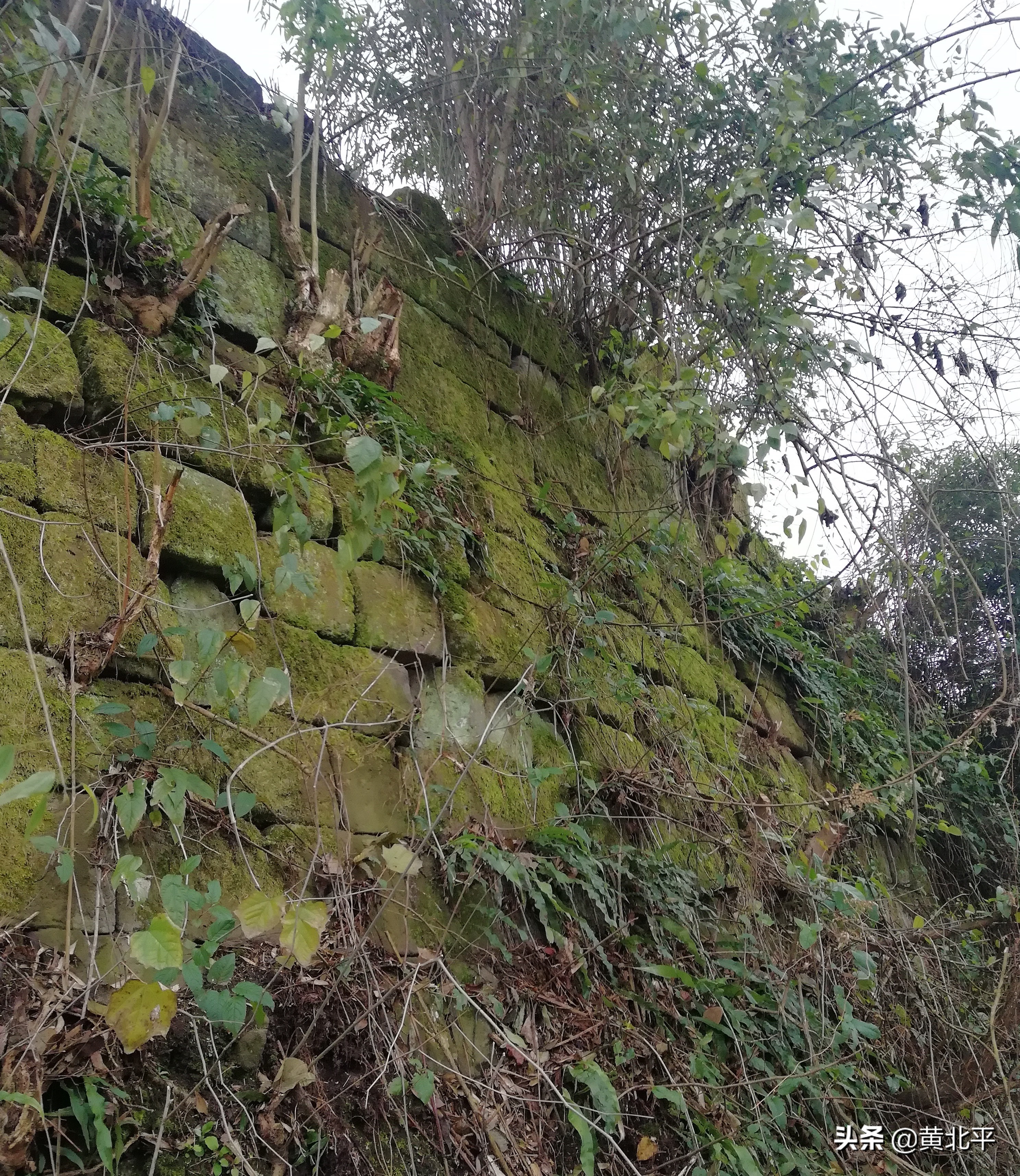 泸州神臂城遗址,老泸州遗址神臂城历史介绍