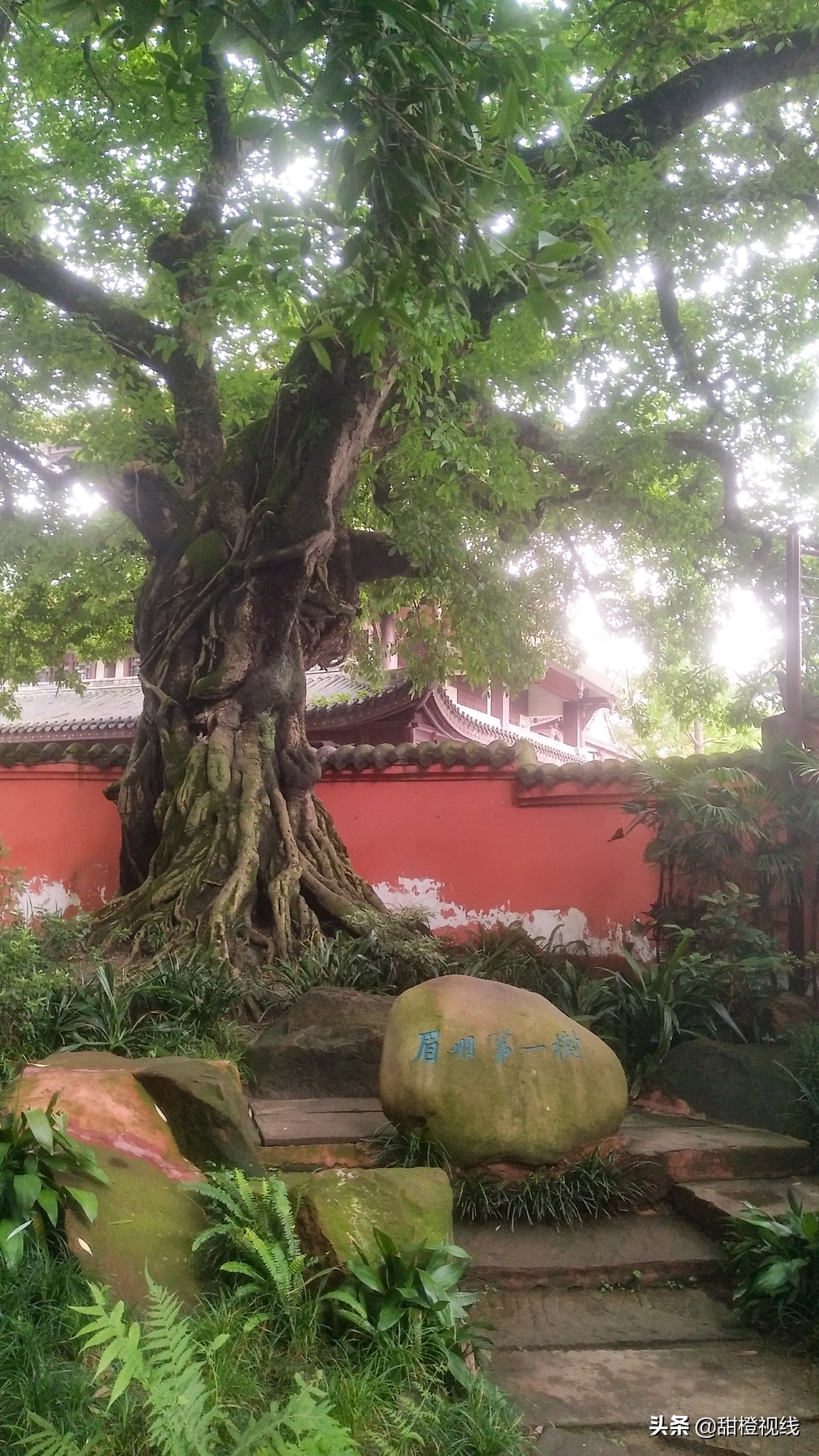 四川眉山的三苏祠,眉山三苏祠有什么故事