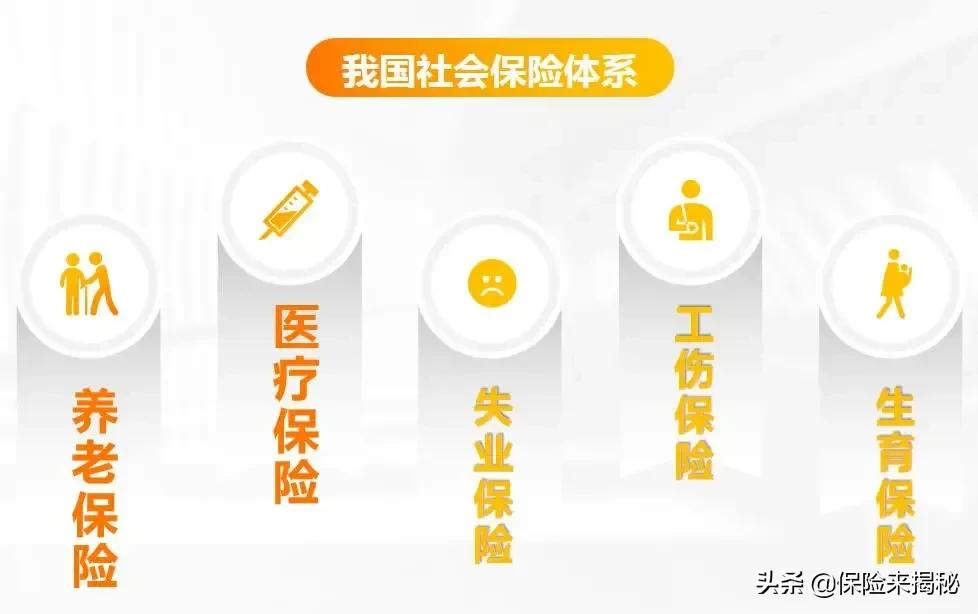 非深户社保知识点,社保法律知识点