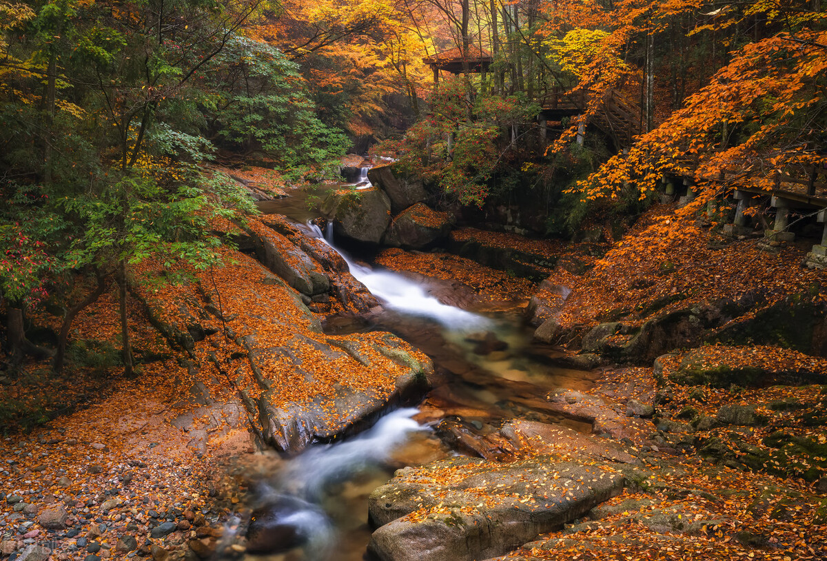 四川巴中经济形势分析,四川巴中经济怎么样