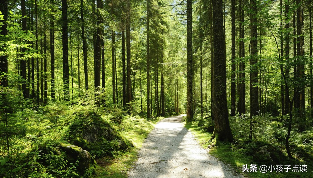 描写春节的古诗词大全500首,描写春节的诗句古诗整首