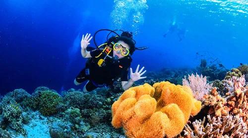 潜水证怎么考初级,如何考取潜水执照