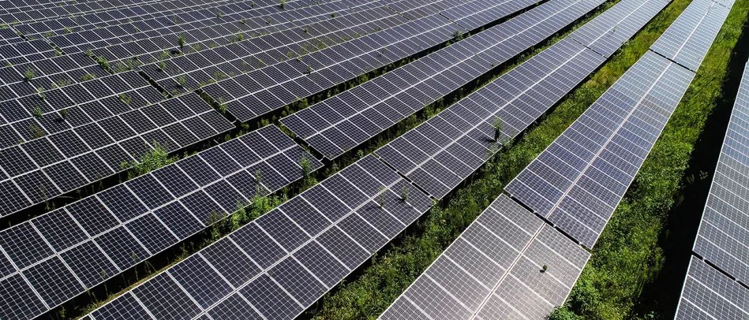 象群北迁日本报道,象群北迁降雨线北移