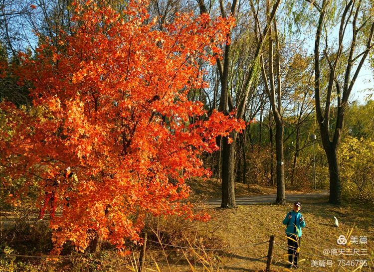 玉泉山北坞公园介绍,北坞村玉泉山