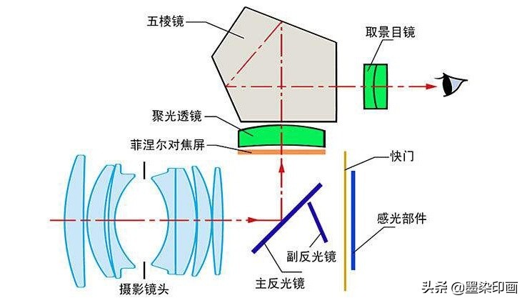 拍摄参数与技巧完全剖析微距摄影,微距拍摄技巧图片大全