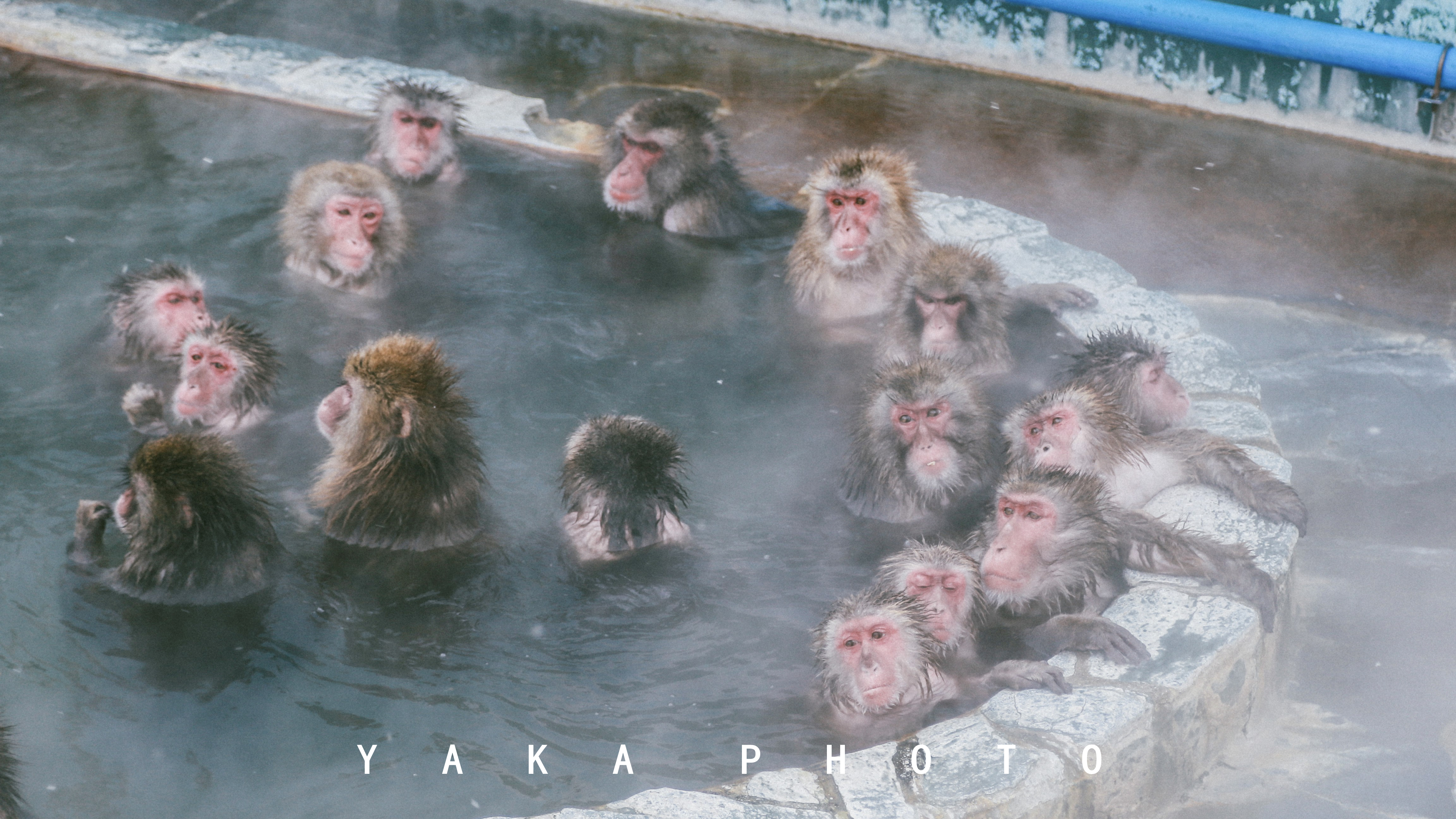 日本北海道函馆二日游自由行攻略,日本人最爱去哪里旅游