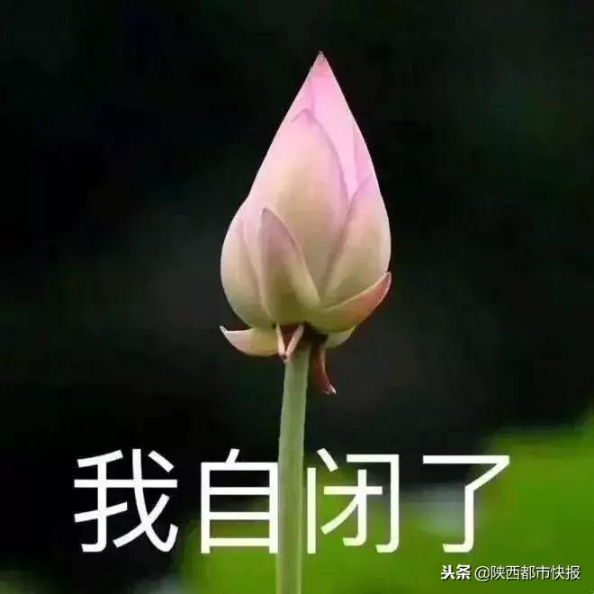 冲鸭表情包动图gif,冲鸭给我冲冲冲表情包