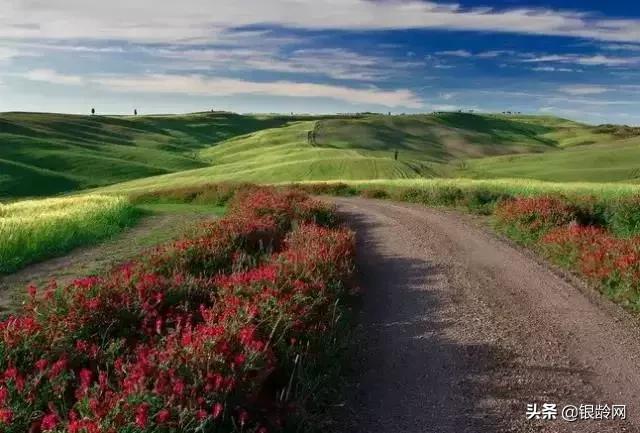 老年人生日发朋友圈短句子,送给老年朋友的心胸宽广的句子