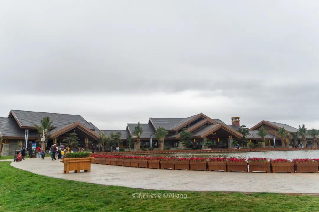 云南最美小镇图片,云南太平湖森林公园花海