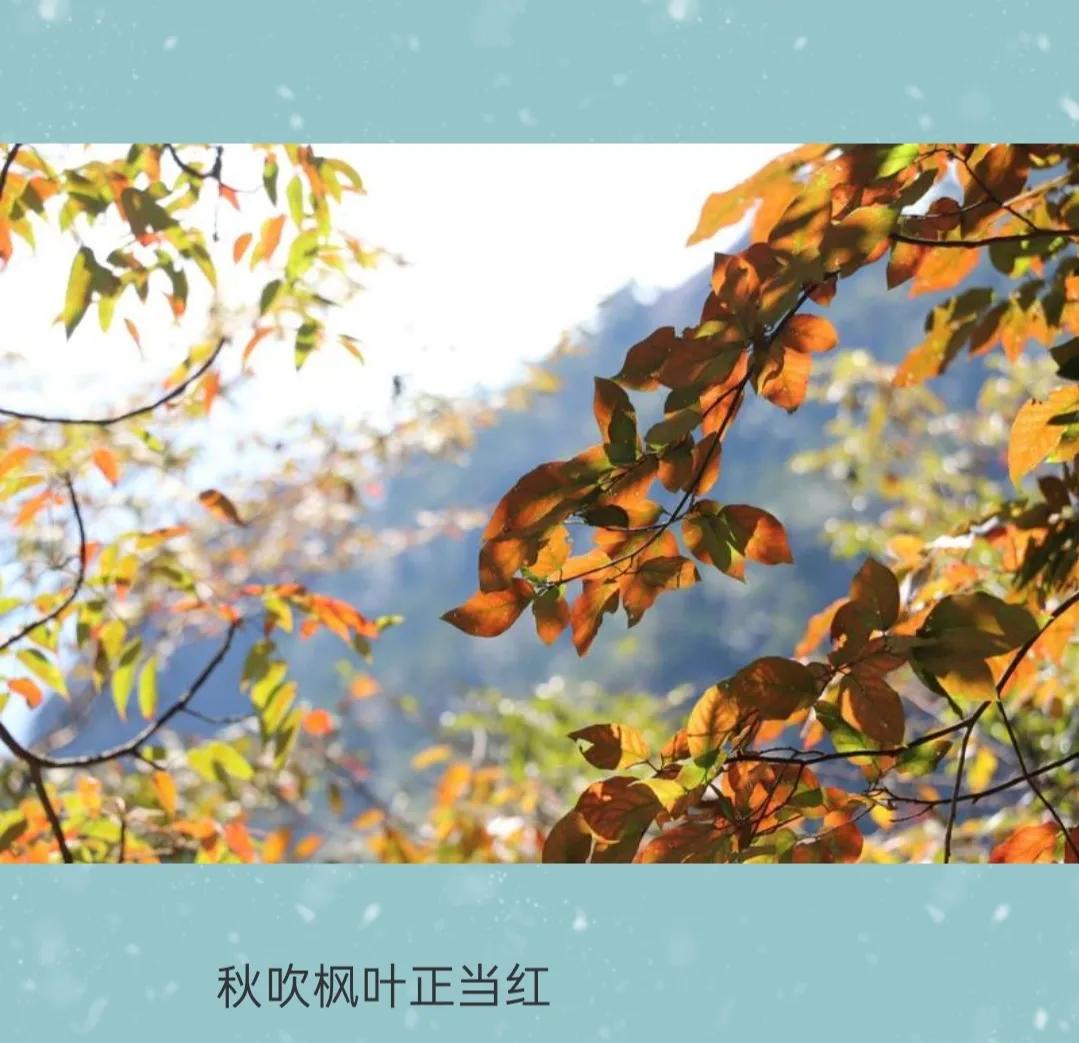 涓嶅埌闀垮煄闈炲ソ姹変笉鐧讳笢灞辨尯閬楁喚,涓嶅埌闀垮煄闈炲ソ姹変笉鐧绘嘲灞辨槸閬楁喚