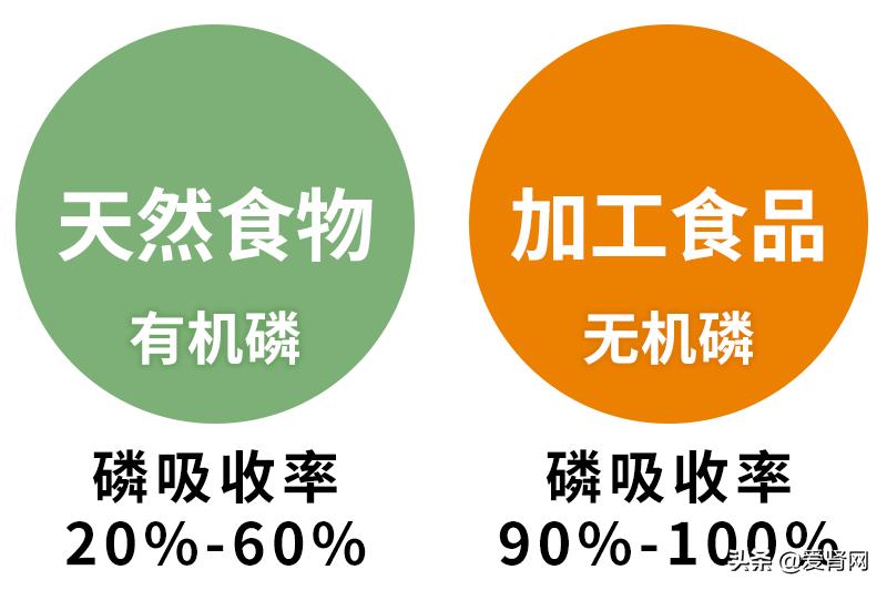 血磷高意味着肾功能出现问题吗,肾衰竭为什么会导致高磷血症