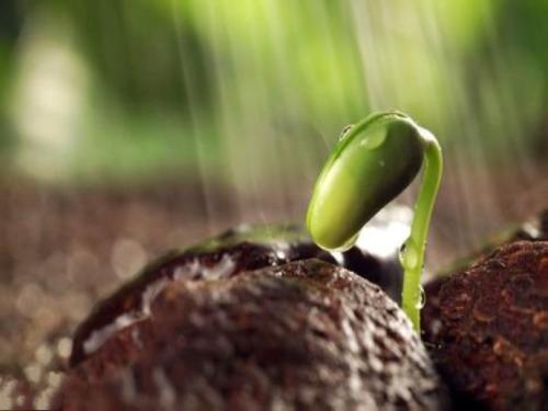 乔布斯临终遗言公开中文版,亿万富翁乔布斯临终前的遗言