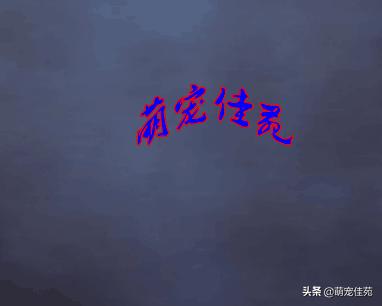 金毛偶尔发出一股腥臭味,金毛身上的臭味哪里来的