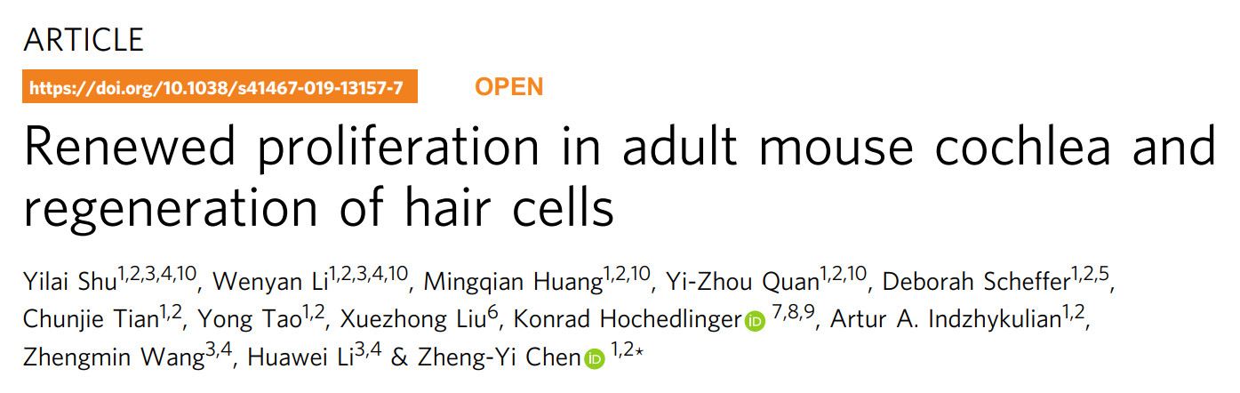 上海市治耳失聪最权威的医院,复旦耳鼻喉科先天性失聪