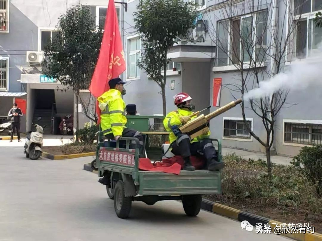 洛宁县飞虎救援队,洛阳洛宁飞虎救援队