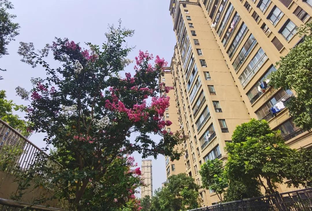 尚锦城和融创哪个值得买,你们说买期房好还是现房好