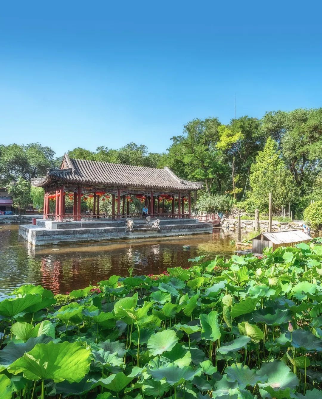 北京四合院出售,北京四合院民宿