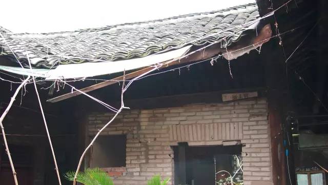 阆中花间堂阆苑特点,与其在城市蜗居不如在乡村建房